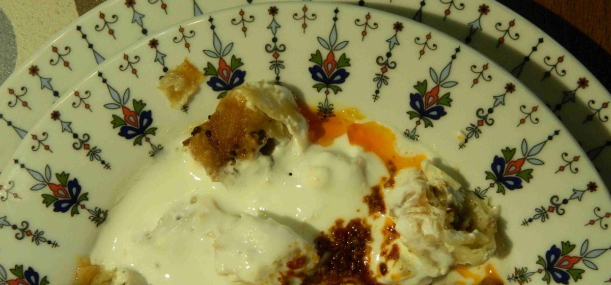 ayşa boşnak börekçisi