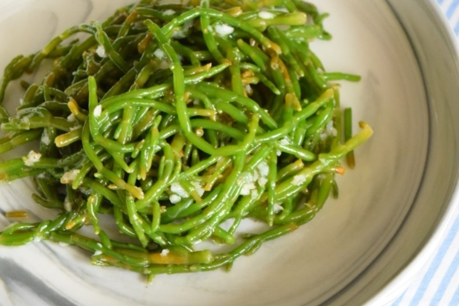 IMG_5028-min deniz börülcesi