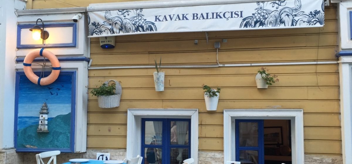kavak balıkçısı - yeniköy