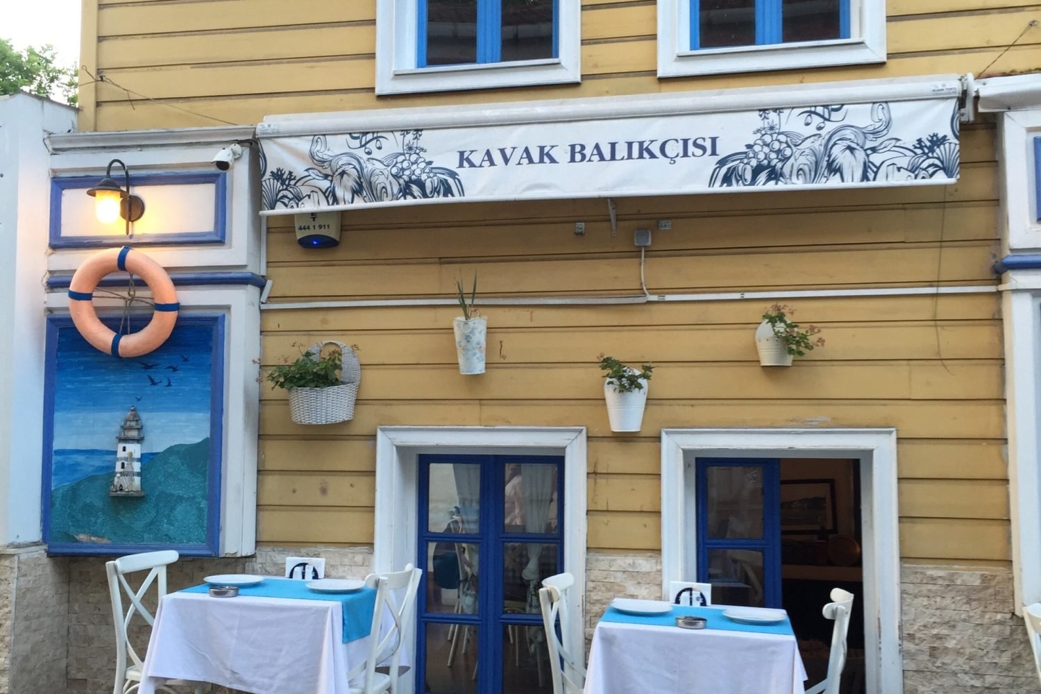 kavak balıkçısı - yeniköy