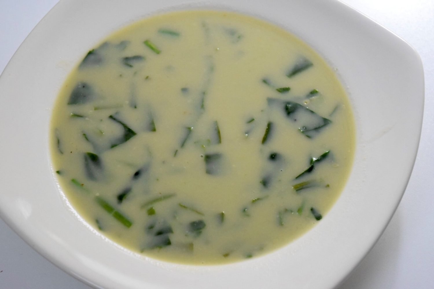 ıspanak çorbası tarifi